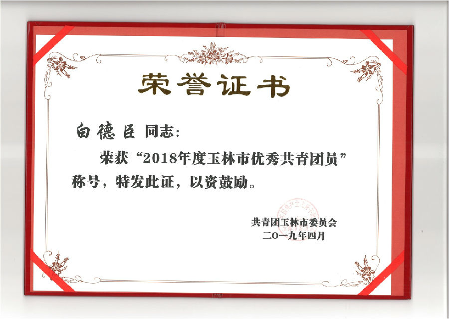 廣西銀億白德臣榮獲“玉林市優(yōu)秀共青團(tuán)員”稱號