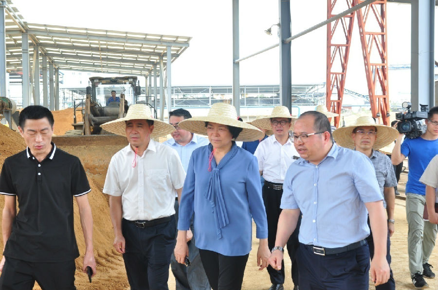 自治區(qū)黨委常委、副主席嚴(yán)植嬋一行蒞臨廣西銀億調(diào)研